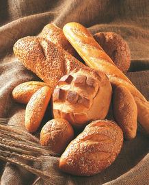 Εύγευστος περιορισμός τροφίμων ψωμιού σπιτικός για τον ανυψωτή ζύμης